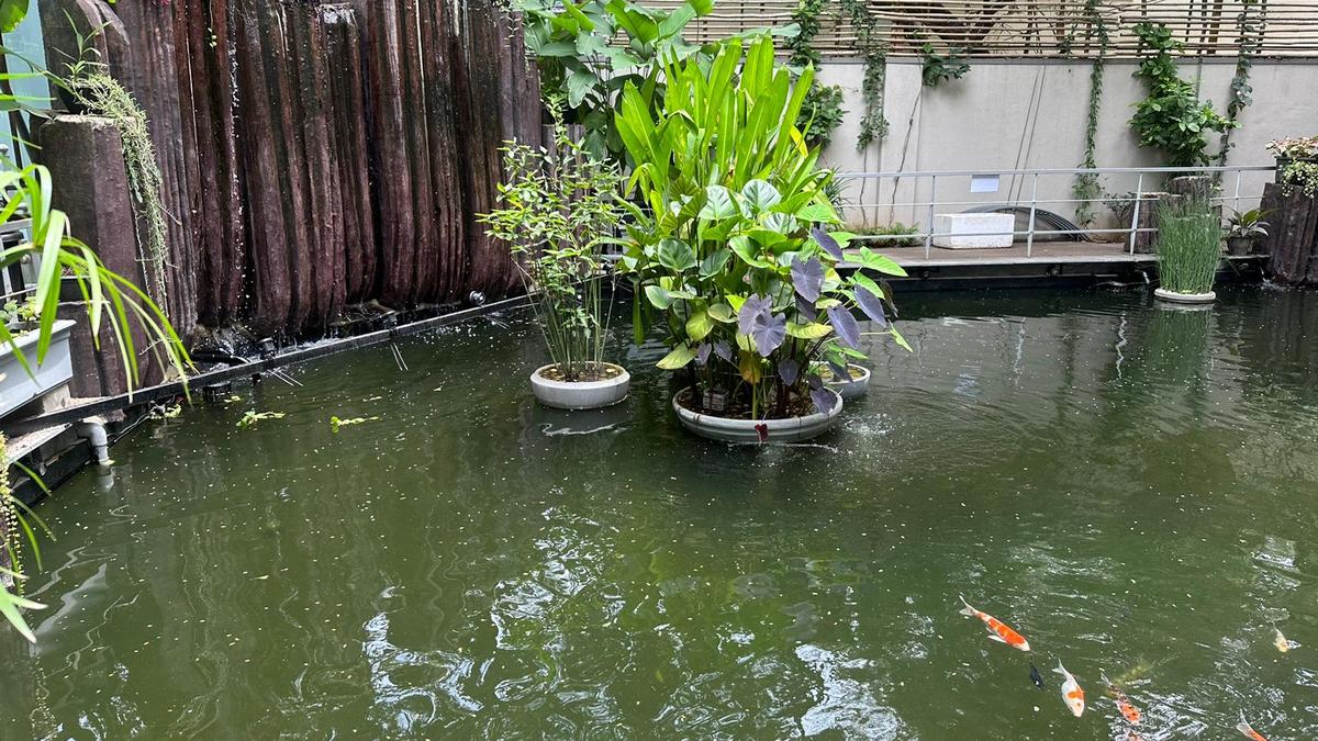 Footfall doubles at aquarium in Bengaluru after revamp brings in koi pond and marine tunnel